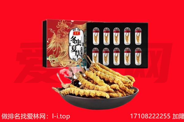 清远佛冈县回收虫草.jpg